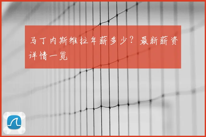 马丁内斯维拉年薪多少？最新薪资详情一览