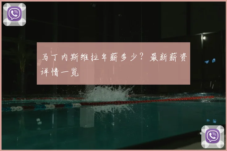 马丁内斯维拉年薪多少？最新薪资详情一览